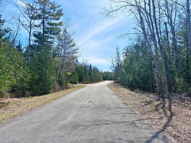 LOT312 Pineview Dr, Presque Isle, MI 49777 - photo 5
