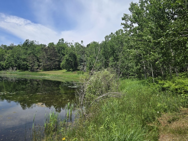 LOT252 Sunridge Dr, Elmira, MI 49730 - photo 7