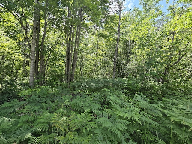 LOT252 Sunridge Dr, Elmira, MI 49730 - photo 8