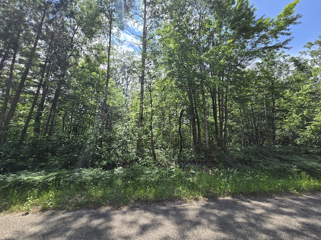 LOT252 Sunridge Dr, Elmira, MI 49730 - photo 9