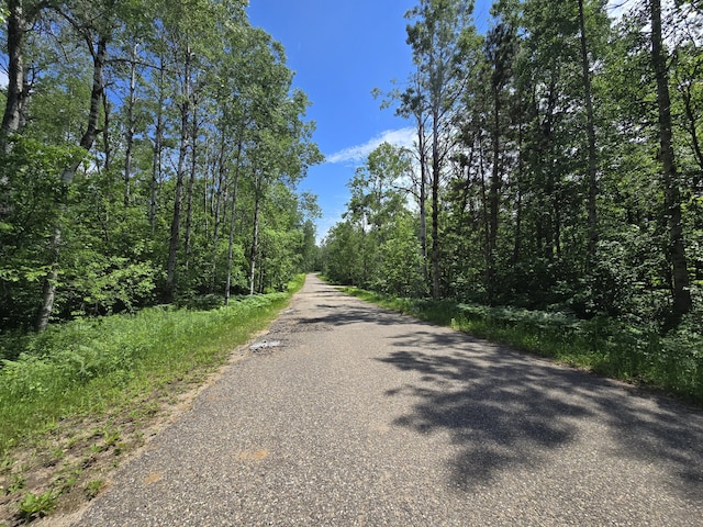 LOT252 Sunridge Dr, Elmira, MI 49730 - photo 10