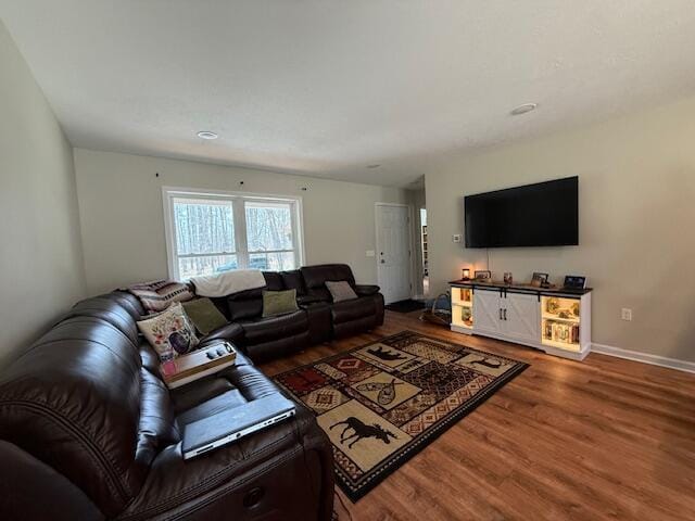 living room with baseboards and wood finished floors
