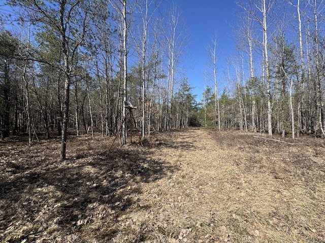 427 Goline Rd, Grayling, MI 49738 - view of local wilderness featuring a forest view