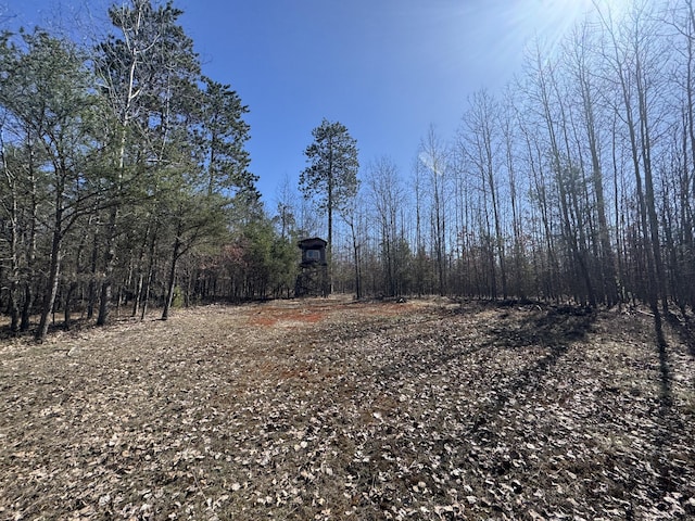 427 Goline Rd, Grayling, MI 49738 - view of local wilderness featuring a forest view