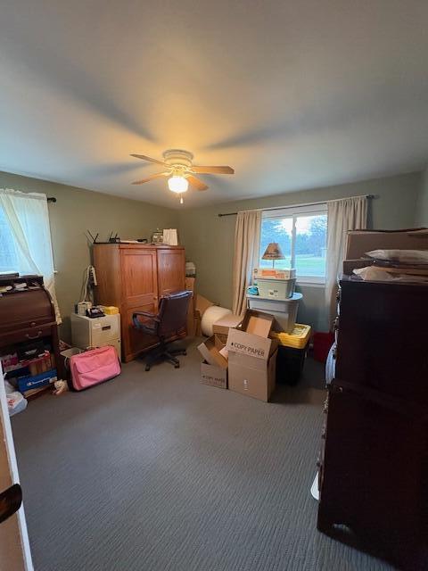 interior space featuring carpet flooring and a ceiling fan