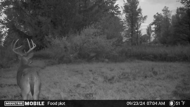 3330 Bell Rd, Glennie, MI 48737