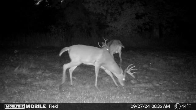 3330 Bell Rd, Glennie, MI 48737