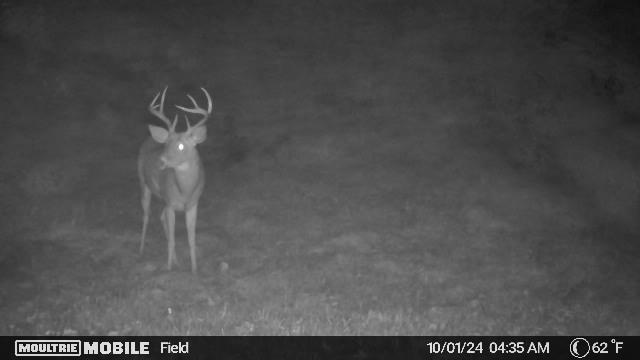 3330 Bell Rd, Glennie, MI 48737