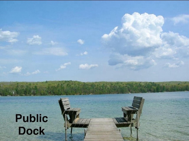 dock area featuring a water view and a wooded view