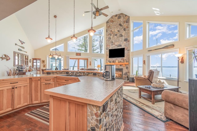 kitchen featuring light brown cabinetry, dark wood-style floors, and high vaulted ceiling