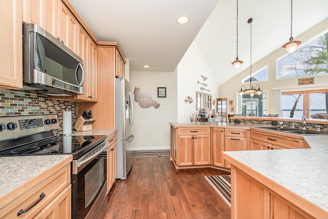 kitchen with appliances with stainless steel finishes, a sink, light countertops, decorative backsplash, and dark wood-style floors