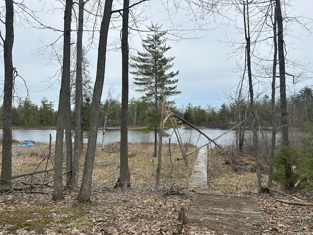 property view of water with a wooded view