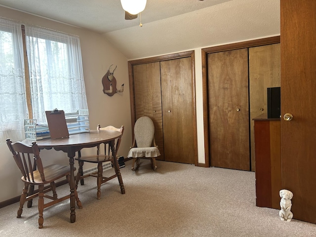 interior space featuring ceiling fan and vaulted ceiling