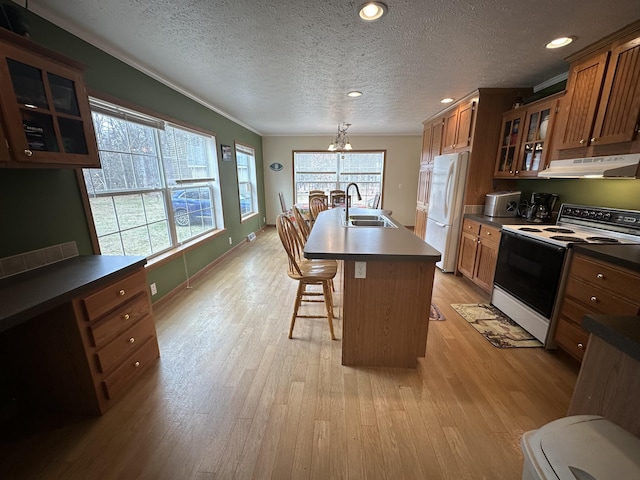 kitchen with brown cabinetry, white appliances, a center island with sink, under cabinet range hood, and a sink