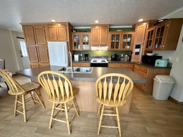 kitchen featuring brown cabinetry, electric range, a sink, freestanding refrigerator, and extractor fan