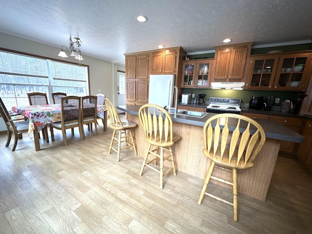 kitchen featuring electric range, a sink, a textured ceiling, freestanding refrigerator, and range hood