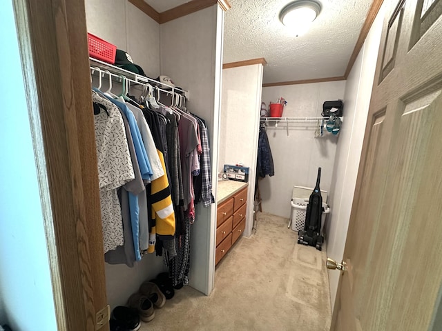 walk in closet with light colored carpet