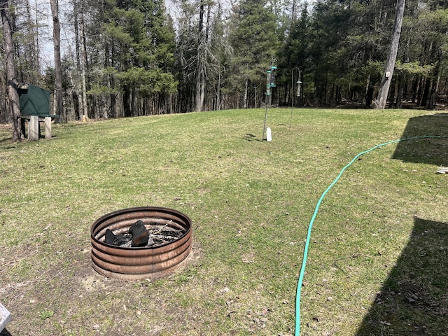 3047 Timberlane Trl, Grayling, MI 49738 - view of yard