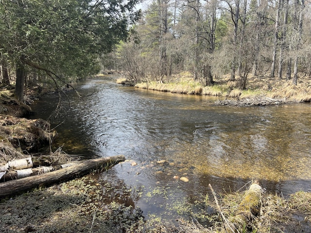 3047 Timberlane Trl, Grayling, MI 49738 - view of water feature