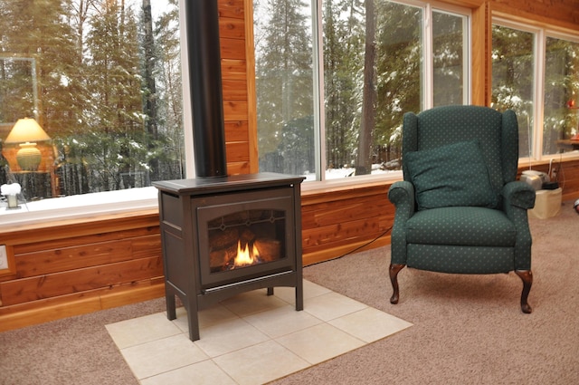 3047 Timberlane Trl, Grayling, MI 49738 - sitting room with carpet and a wood stove