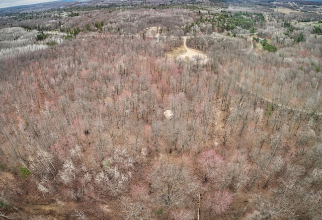 drone / aerial view with a forest view