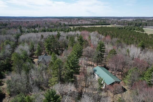 8670 N Everett Rd, Roscommon, MI 48653 - aerial view