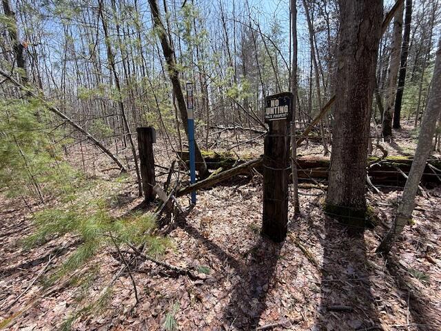 8670 N Everett Rd, Roscommon, MI 48653 - view of nature