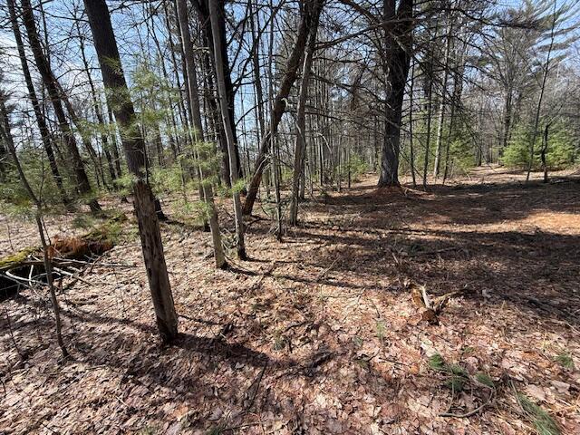 8670 N Everett Rd, Roscommon, MI 48653 - view of landscape