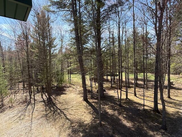 8670 N Everett Rd, Roscommon, MI 48653 - view of landscape