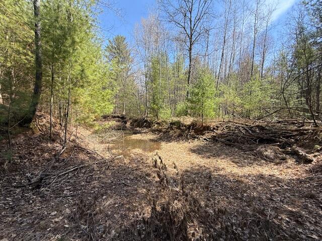 8670 N Everett Rd, Roscommon, MI 48653 - view of local wilderness