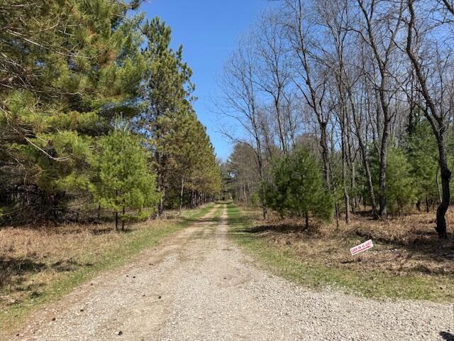 8670 N Everett Rd, Roscommon, MI 48653 - view of street