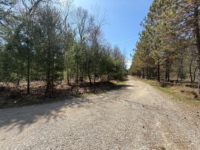 8670 N Everett Rd, Roscommon, MI 48653 - view of road