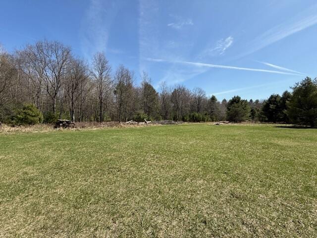 view of yard featuring a view of trees