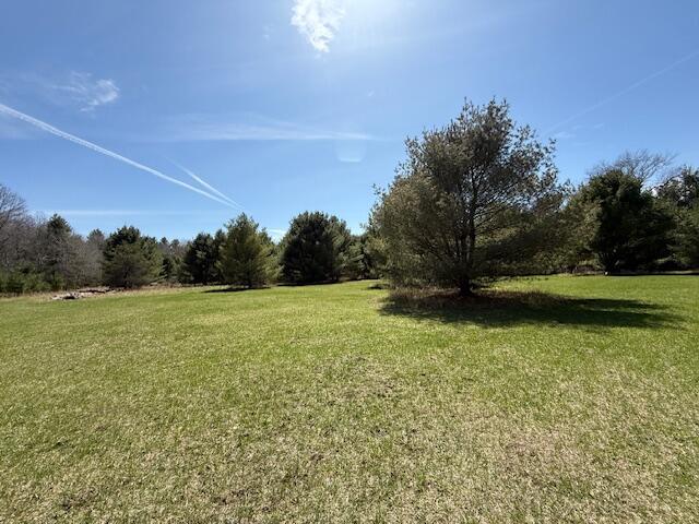 8670 N Everett Rd, Roscommon, MI 48653 - view of yard