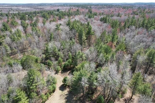 birds eye view of property with a view of trees