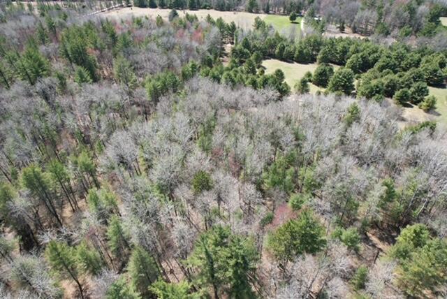 8670 N Everett Rd, Roscommon, MI 48653 - bird's eye view with a rural view