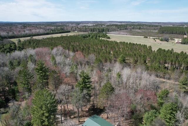 drone / aerial view featuring a rural view