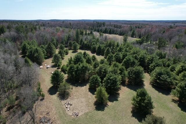 drone / aerial view featuring a view of trees