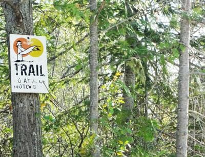 Sylvan Ct, Presque Isle, MI 49777