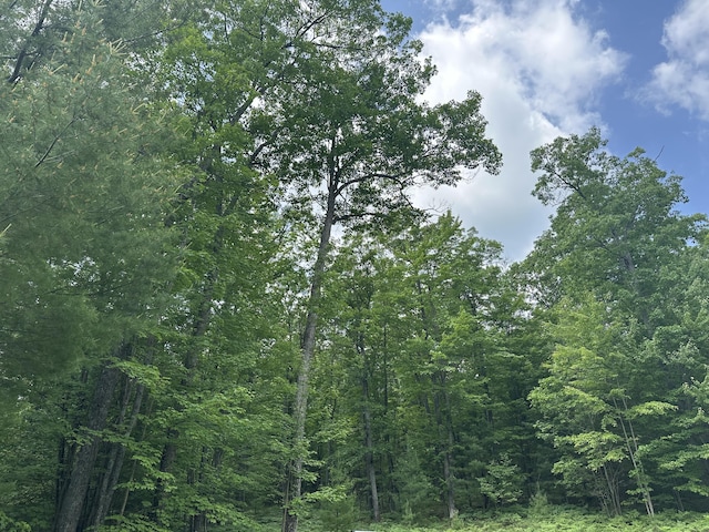 55 Crystal Ln, Roscommon, MI 48653