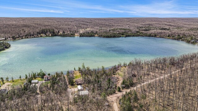aerial view with a view of trees and a water view