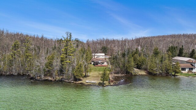 bird's eye view with a water view and a view of trees