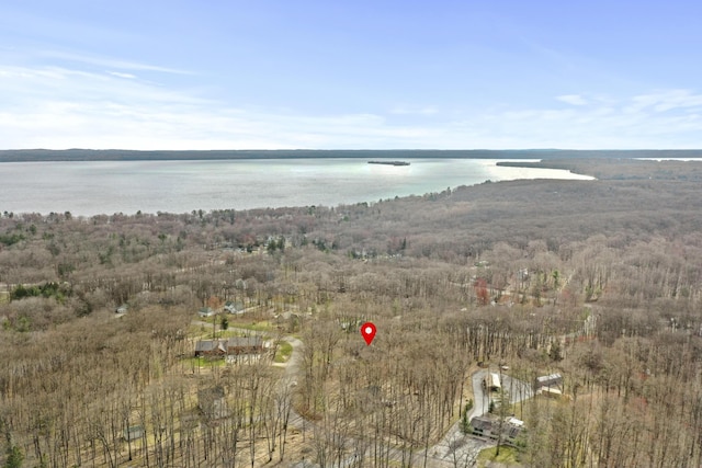 207 Cindy Ave, Roscommon, MI 48653 - view of property location with a nearby body of water and a heavily wooded area