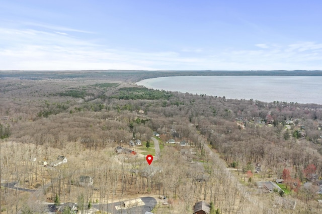 207 Cindy Ave, Roscommon, MI 48653 - aerial view of property's location with a large body of water