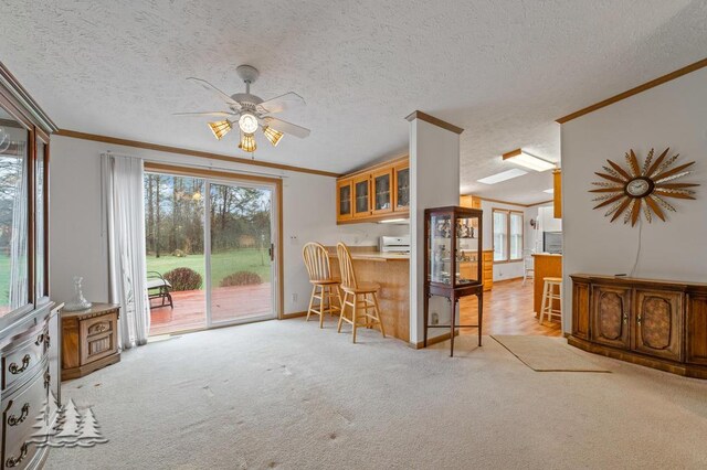 5335 Pinecrest Dr, Lewiston, MI 49756 - interior space with ornamental molding, a textured ceiling, a ceiling fan, and a healthy amount of sunlight