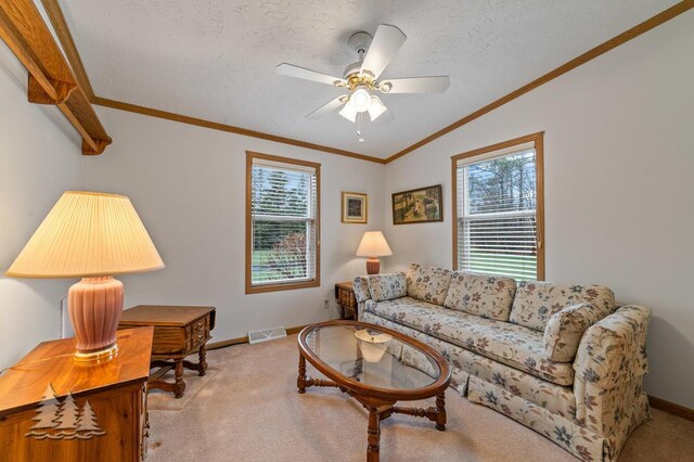 5335 Pinecrest Dr, Lewiston, MI 49756 - living room with a healthy amount of sunlight, carpet, vaulted ceiling, and visible vents