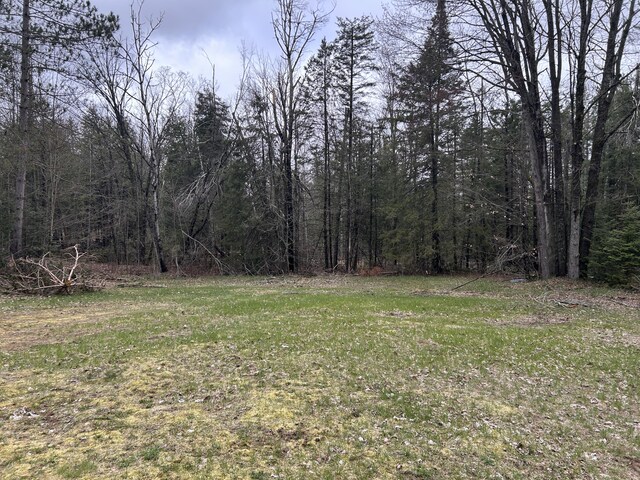 view of yard with a view of trees