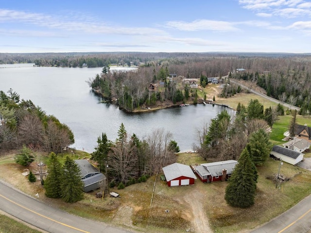 15757 Lakeway Dr, Wolverine, MI 49799 - birds eye view of property with a water view and a view of trees