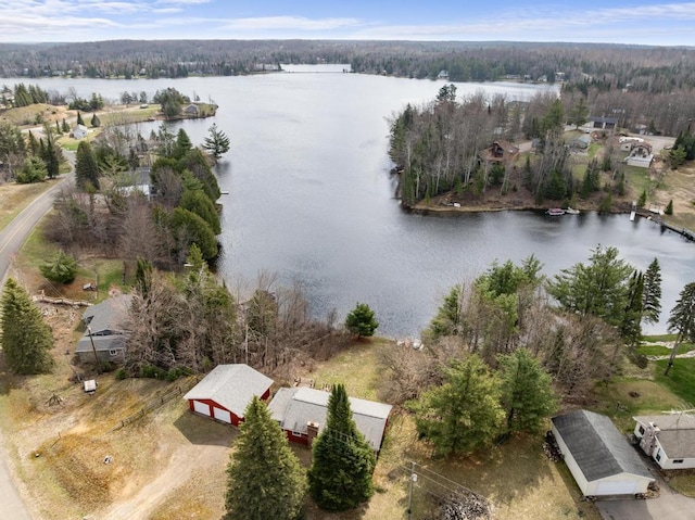 15757 Lakeway Dr, Wolverine, MI 49799 - aerial view featuring a water view