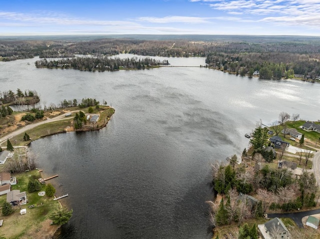 15757 Lakeway Dr, Wolverine, MI 49799 - aerial view featuring a view of trees and a water view